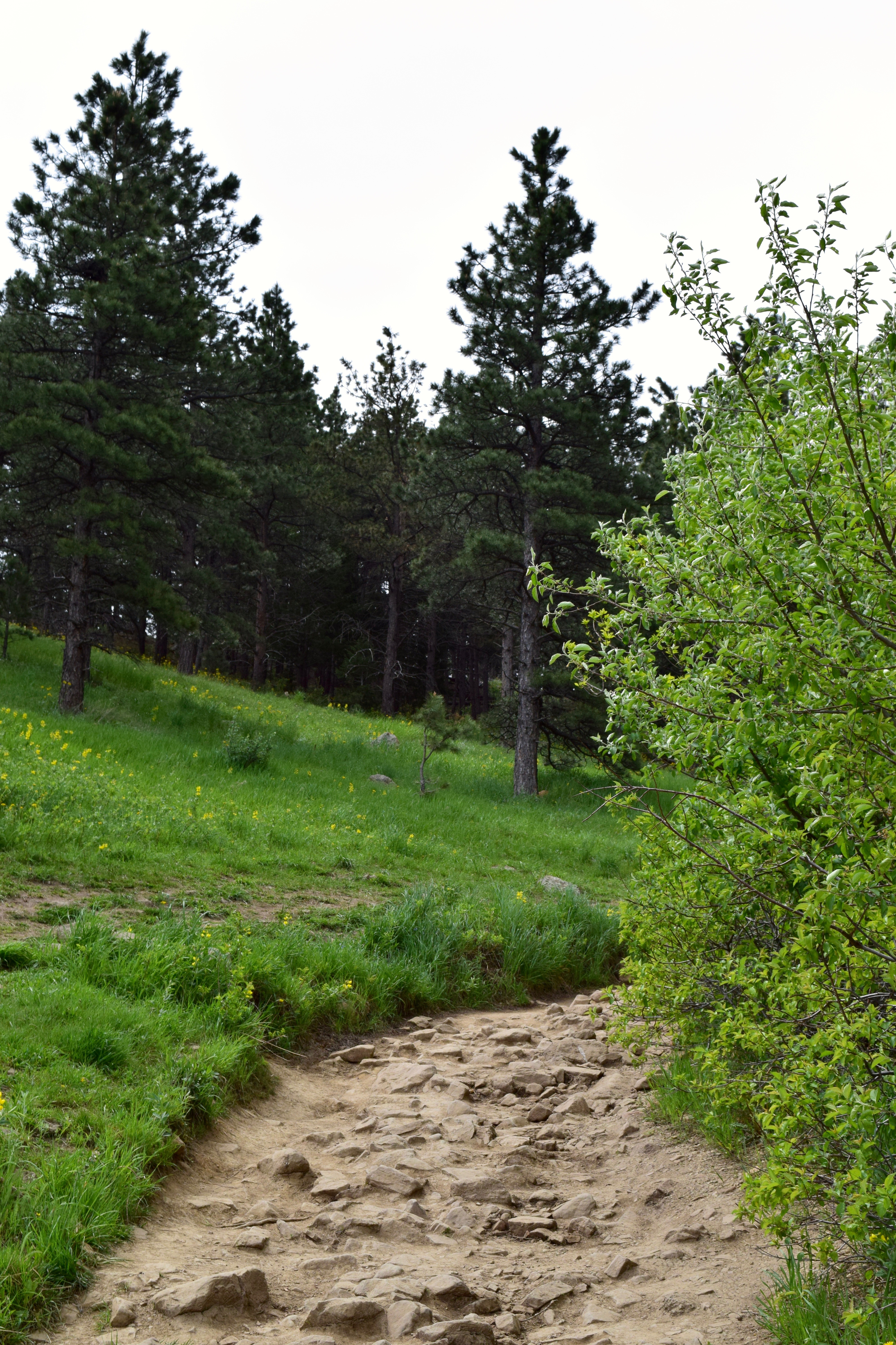 Hike the Chautauqua Trail to the Ski Jump Trail
