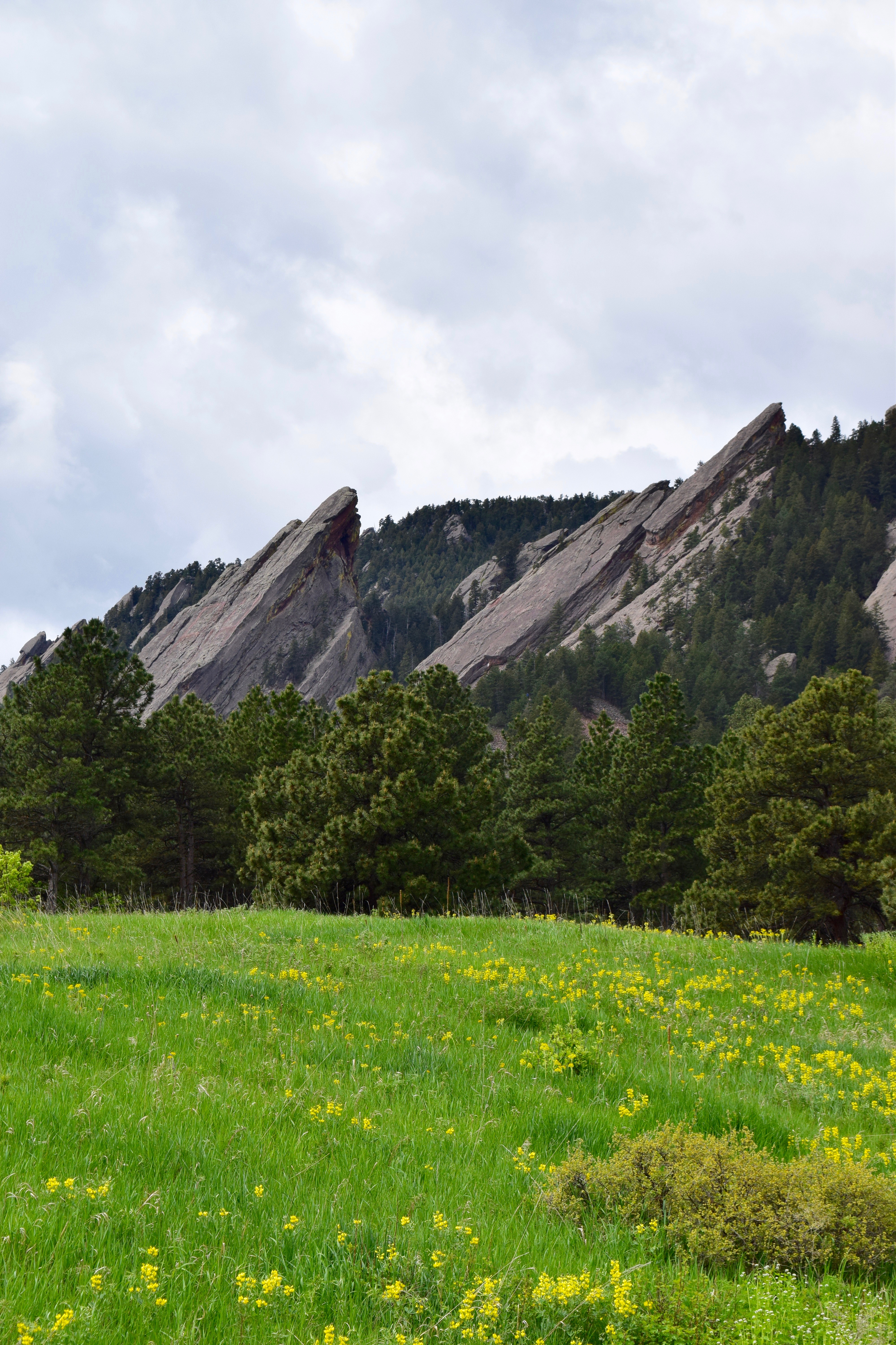 Hike the Chautauqua Trail to the Ski Jump Trail