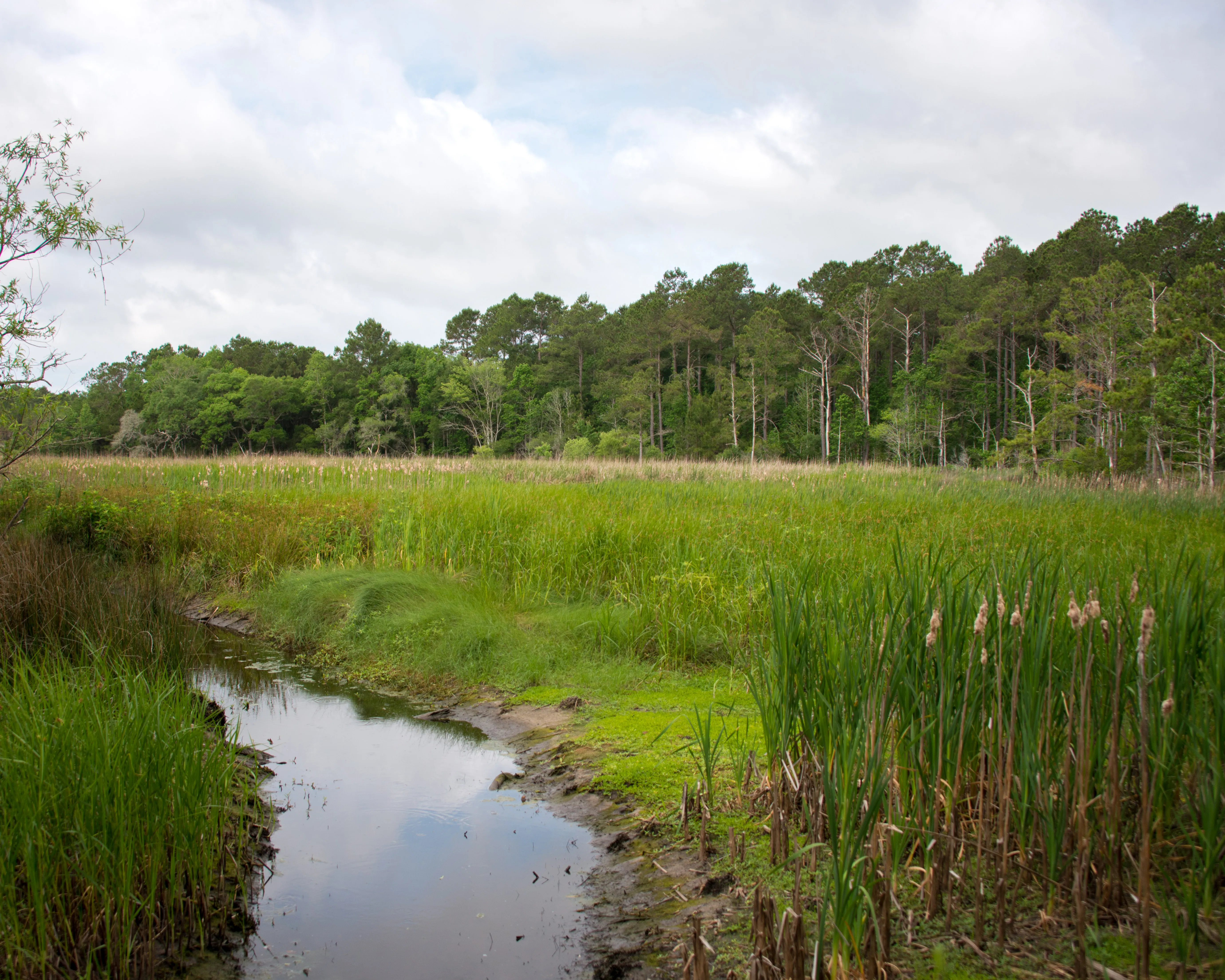 Hike the South Tibwin Trail