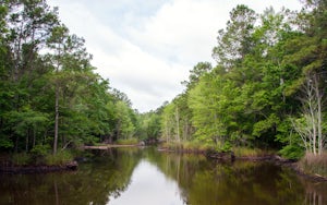 Hike the South Tibwin Trail