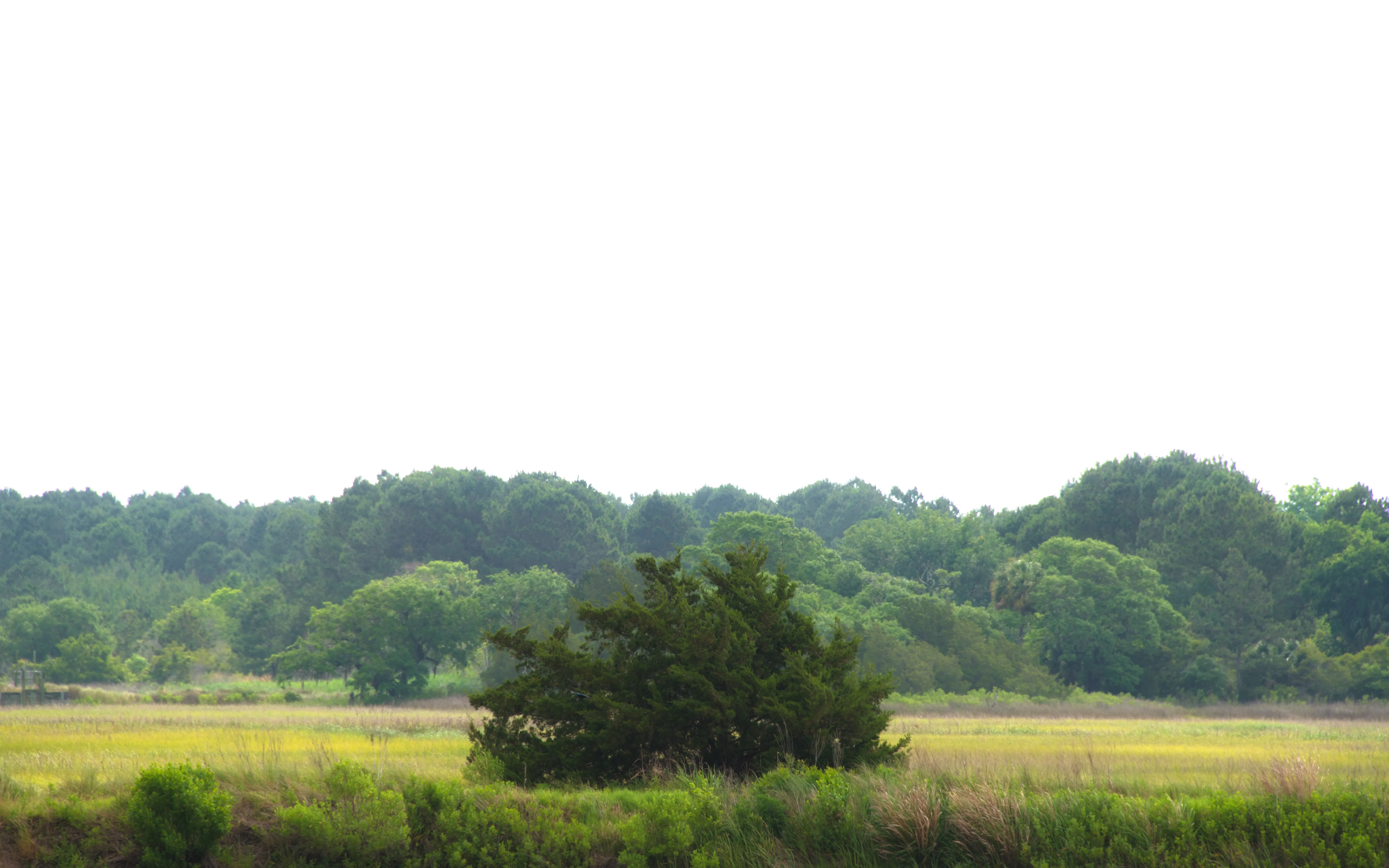 Hike the South Tibwin Trail