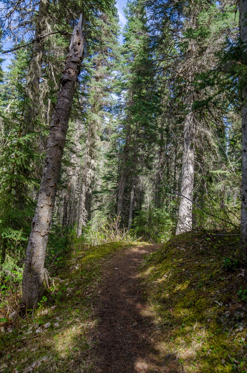 Hike to War Falls