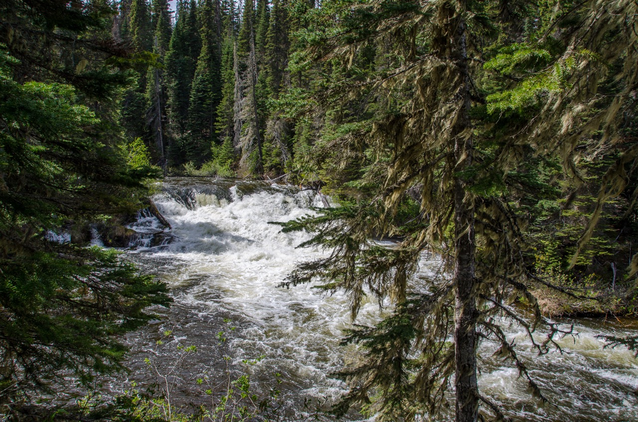 Hike to War Falls