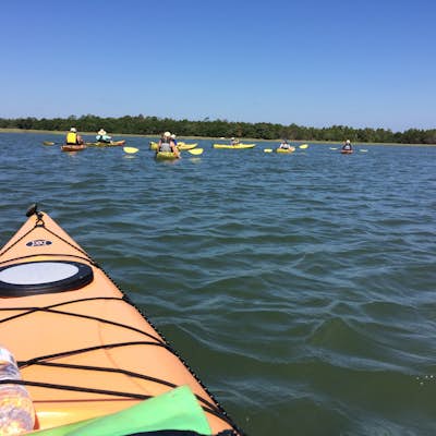 Kayak Around Folly Creek Estuary