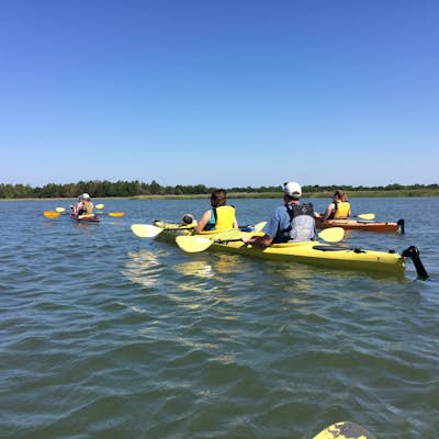Kayak Around Folly Creek Estuary