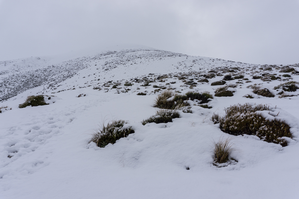 Hike to Foggy Peak Summit 