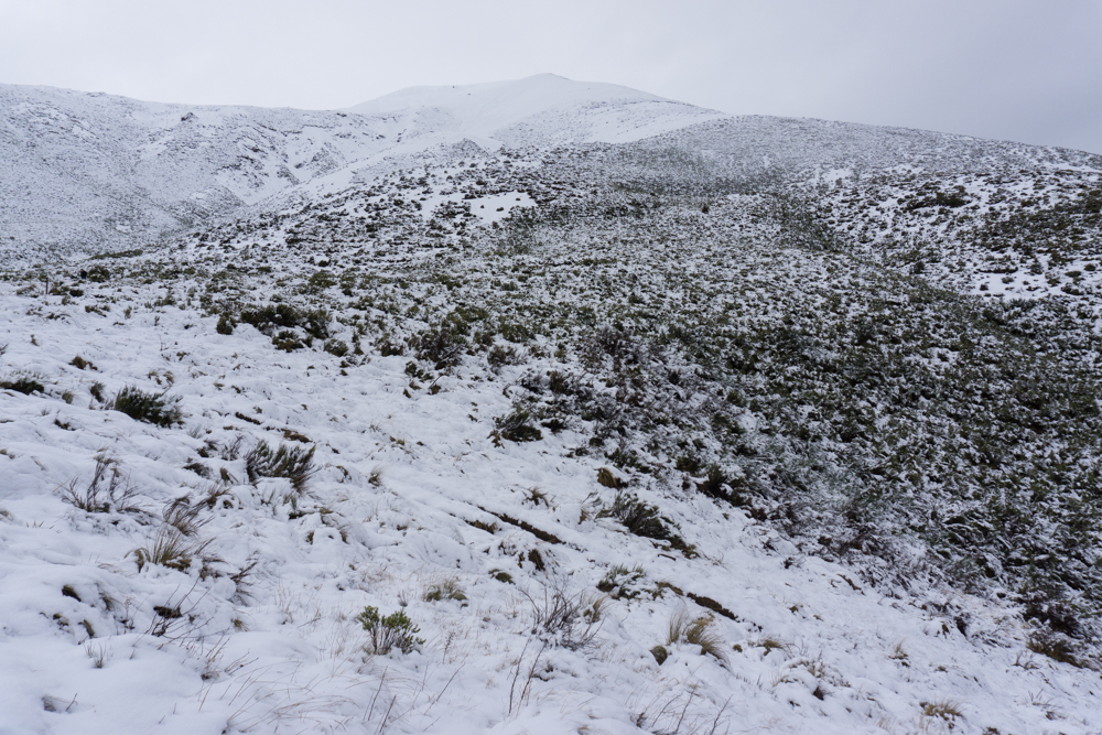 Hike to Foggy Peak Summit 