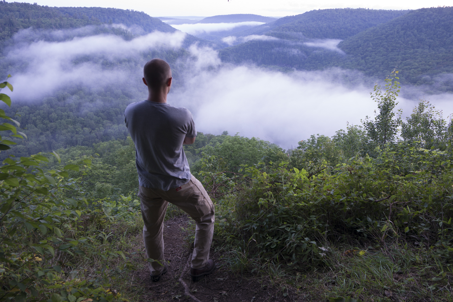 Photograph The Loyalsock Canyon Vista