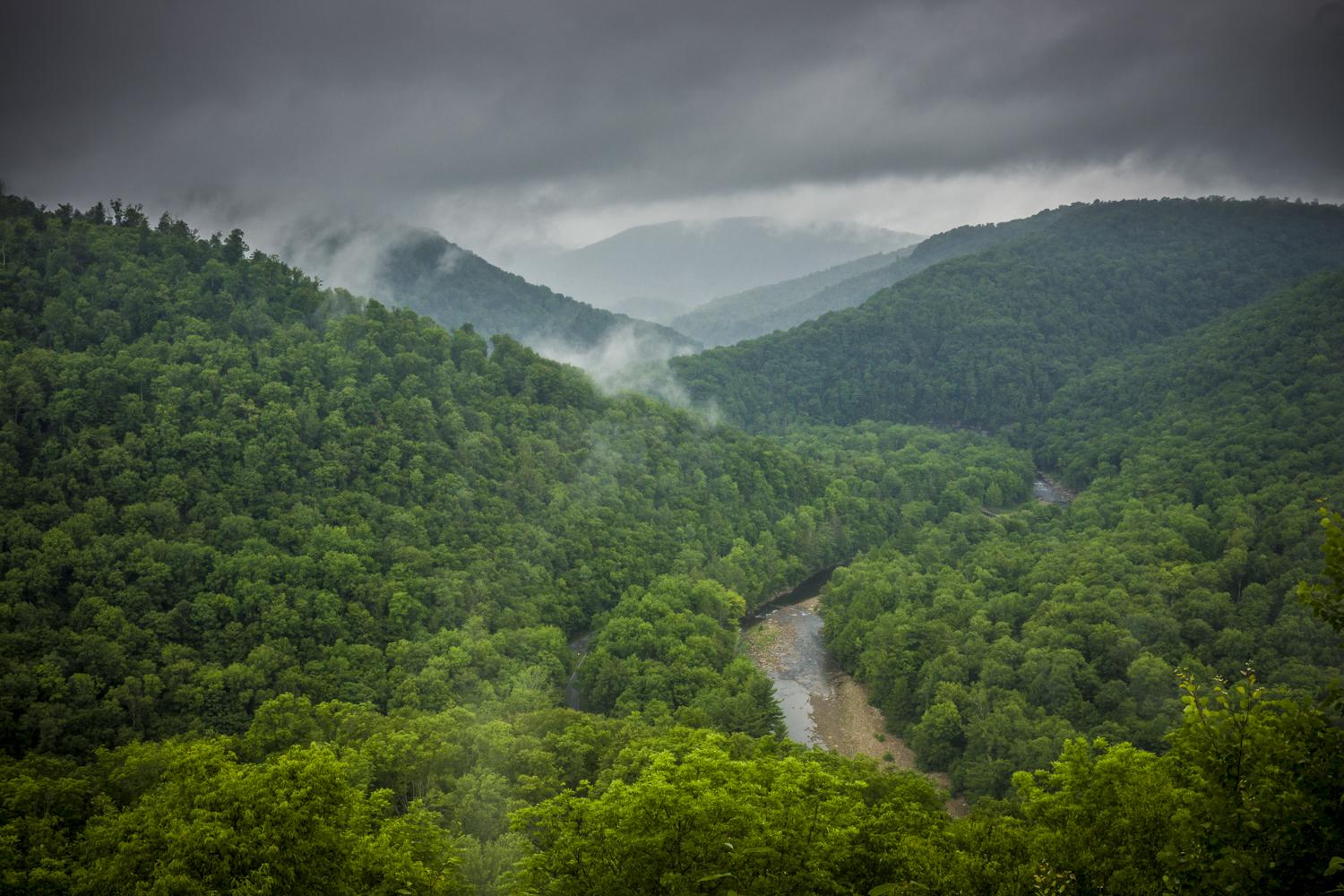Photograph The Loyalsock Canyon Vista