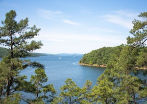 Hike the Caddo Bend Trail