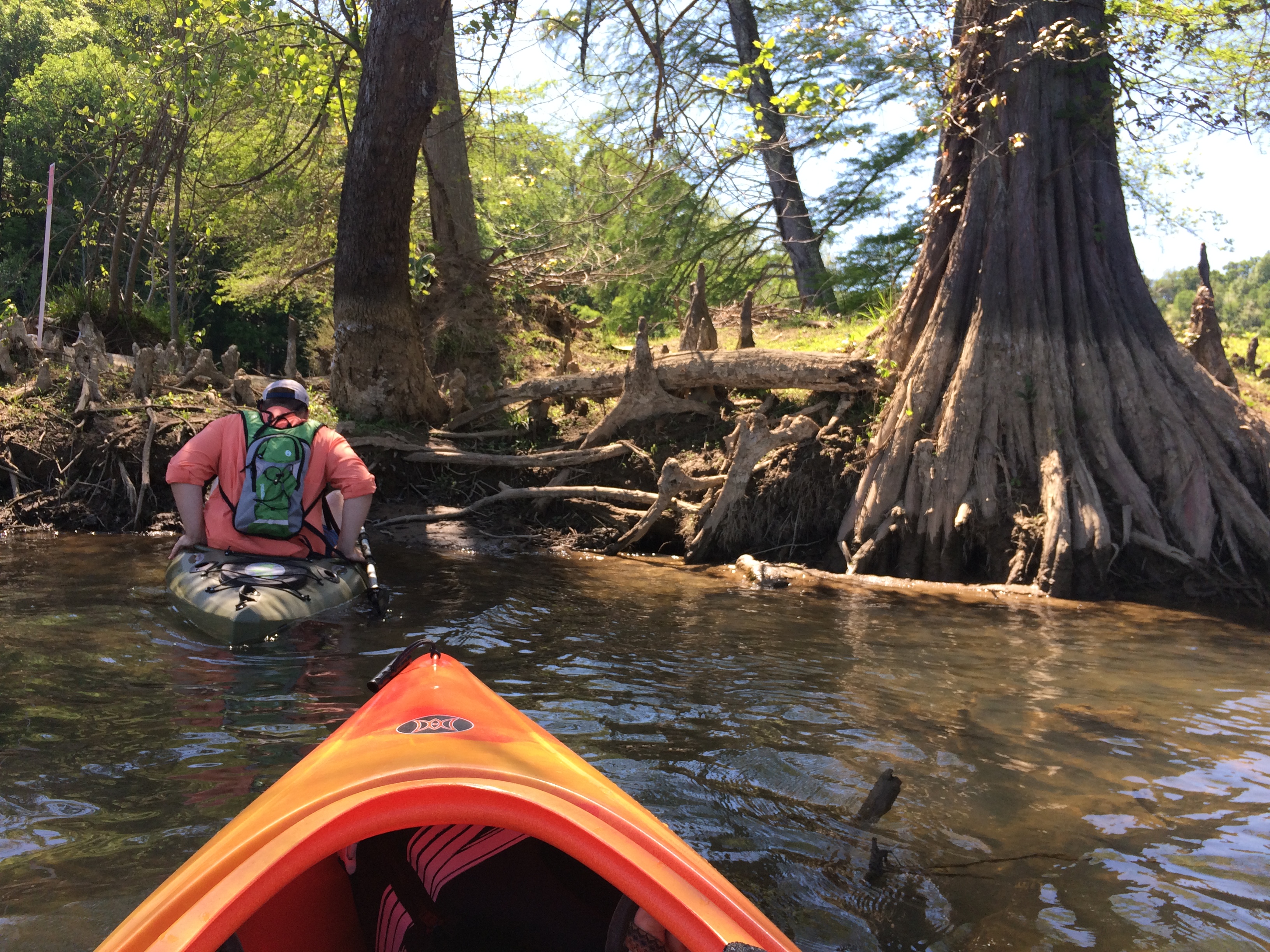 Kayak Seven Island Wildlife Refuge, Kodak, Tennessee
