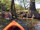 Kayak Seven Island Wildlife Refuge