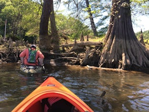 Kayak Seven Island Wildlife Refuge