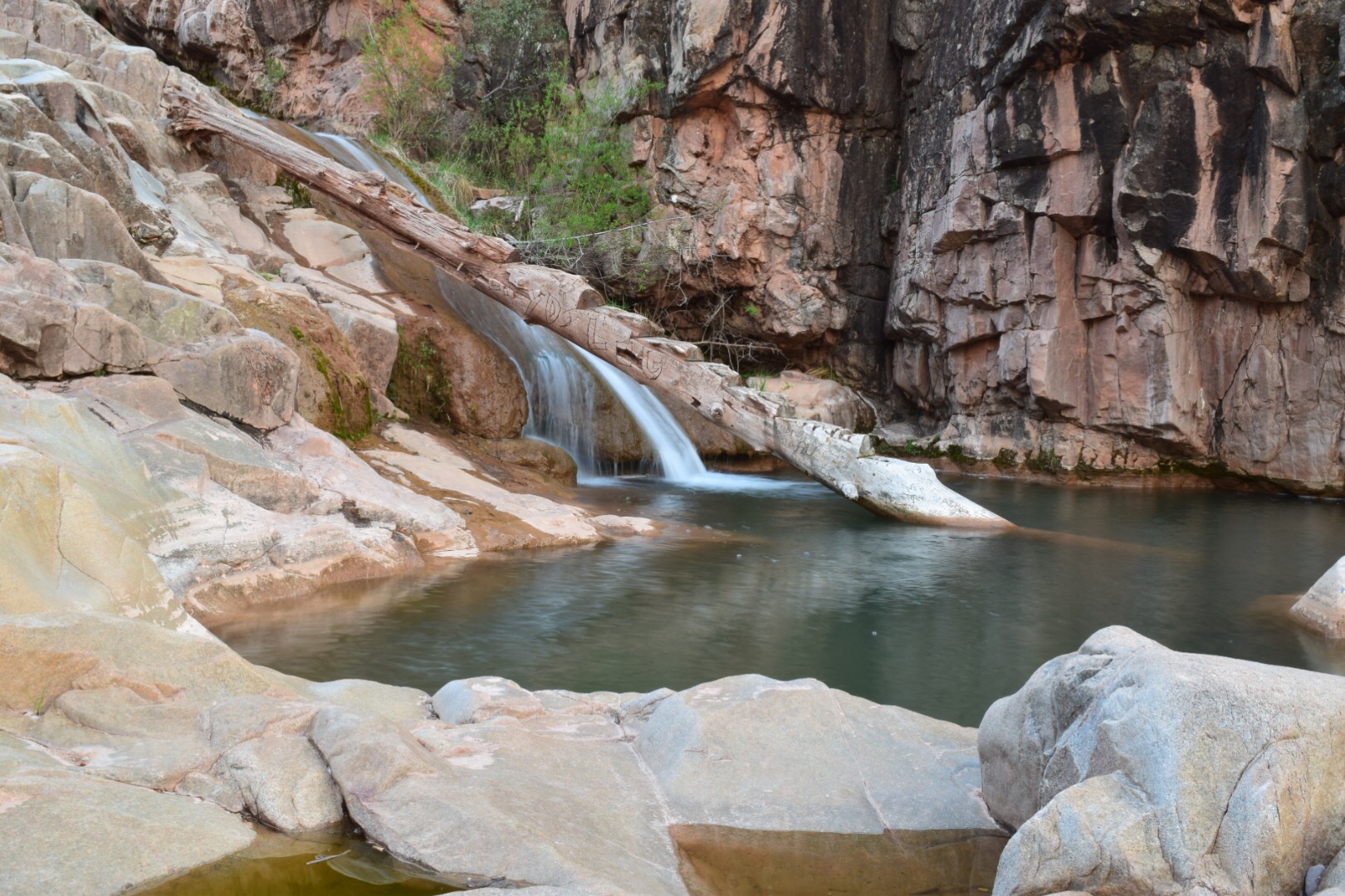 Water Wheel & Ellison Creek Cascades