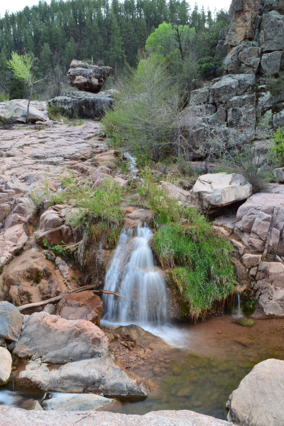 Water Wheel & Ellison Creek Cascades