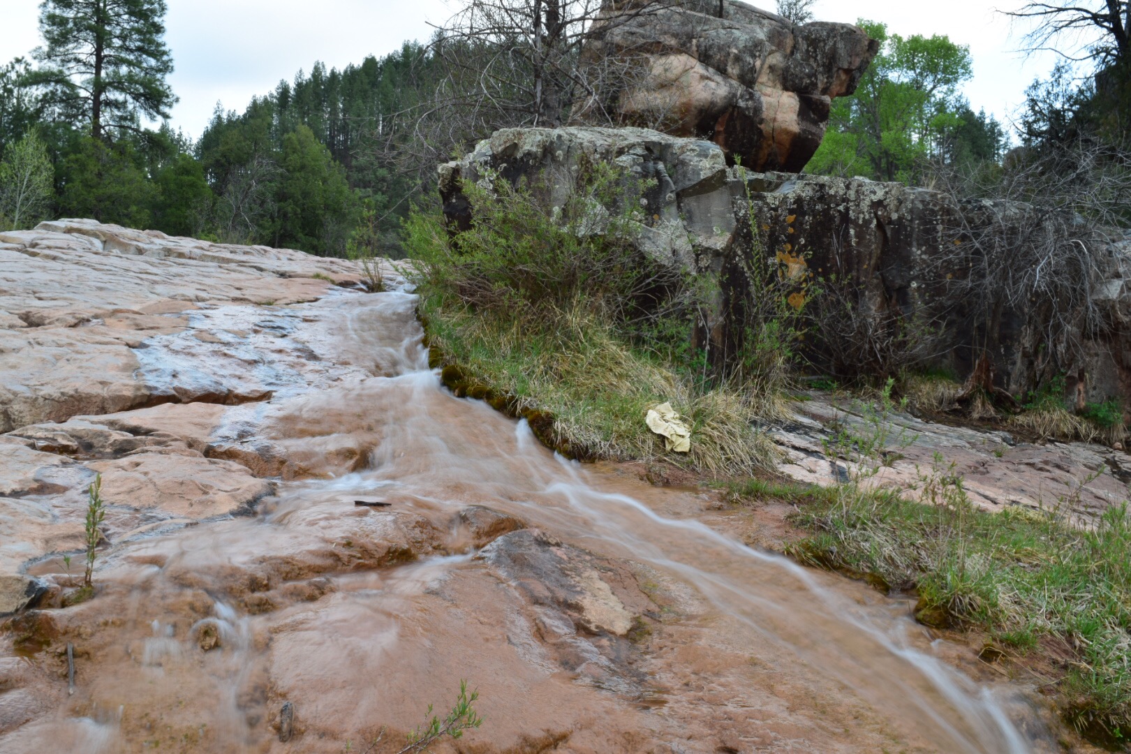 Water Wheel & Ellison Creek Cascades