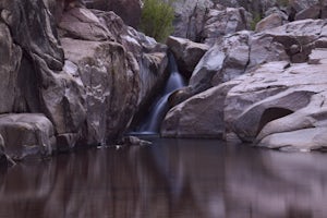 Water Wheel & Ellison Creek Cascades