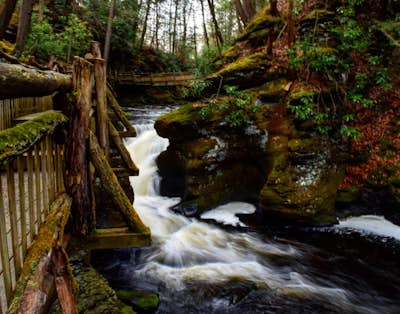 The Niagra Falls Of Pennsylvania