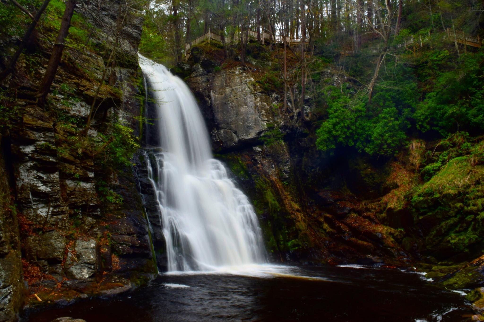 Bushkill Falls Loop