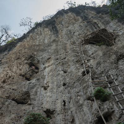 Rock Climb in Jalcomulco