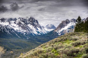 Marshall Ridge via Fishhook Creek Trailhead