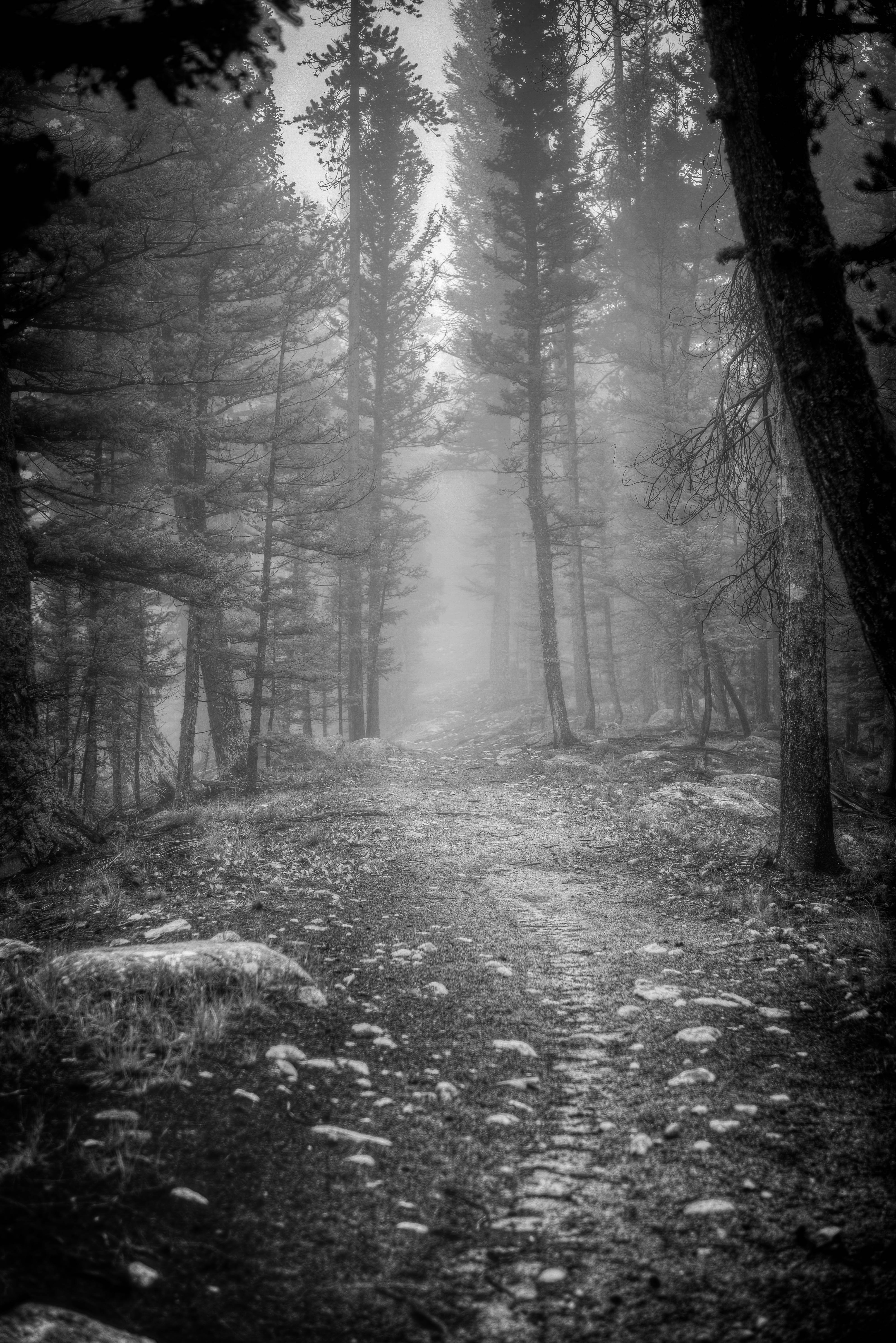 Bench Lakes Trail