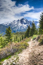 Bench Lakes Trail