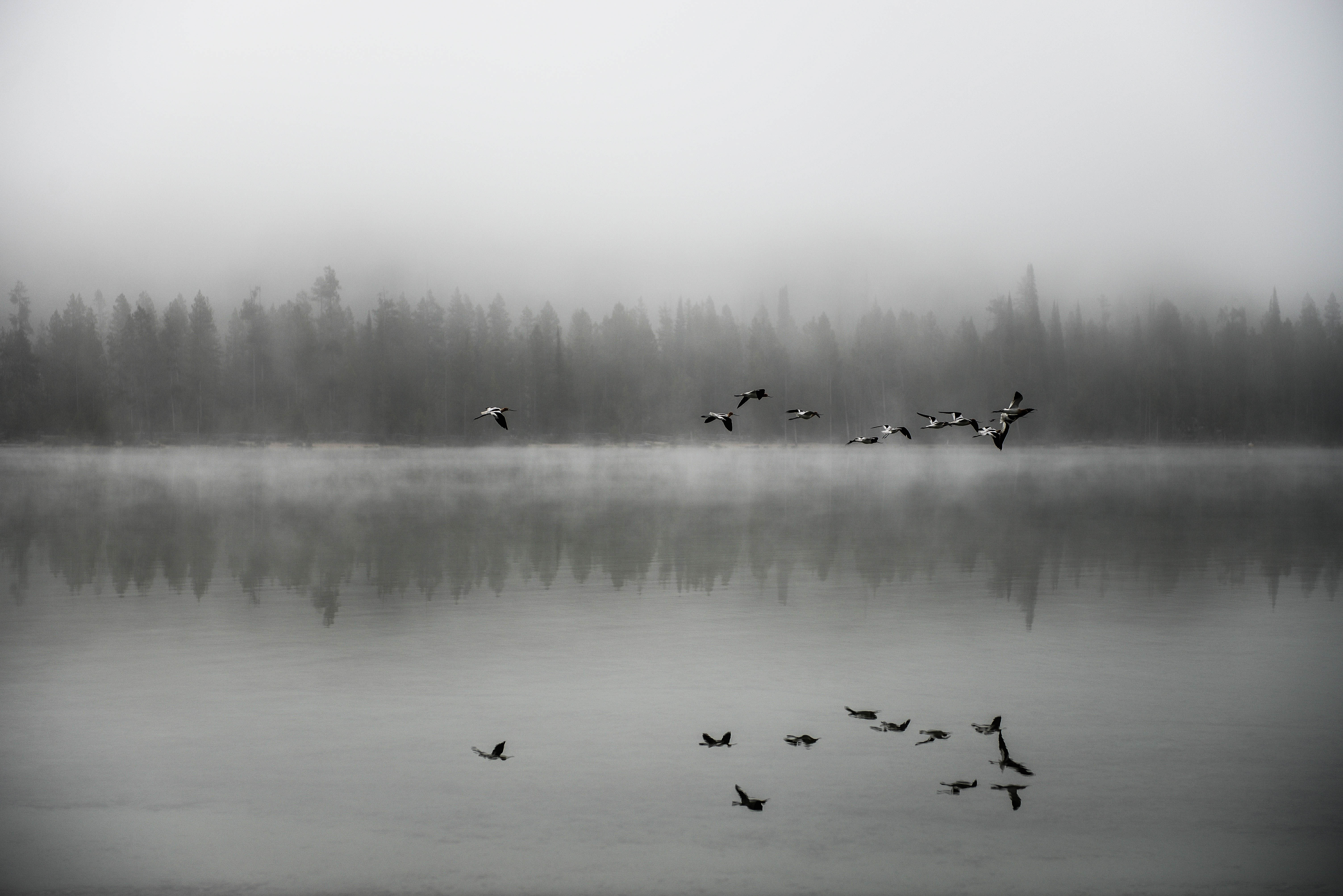 Photograph Redfish Lake at Dawn
