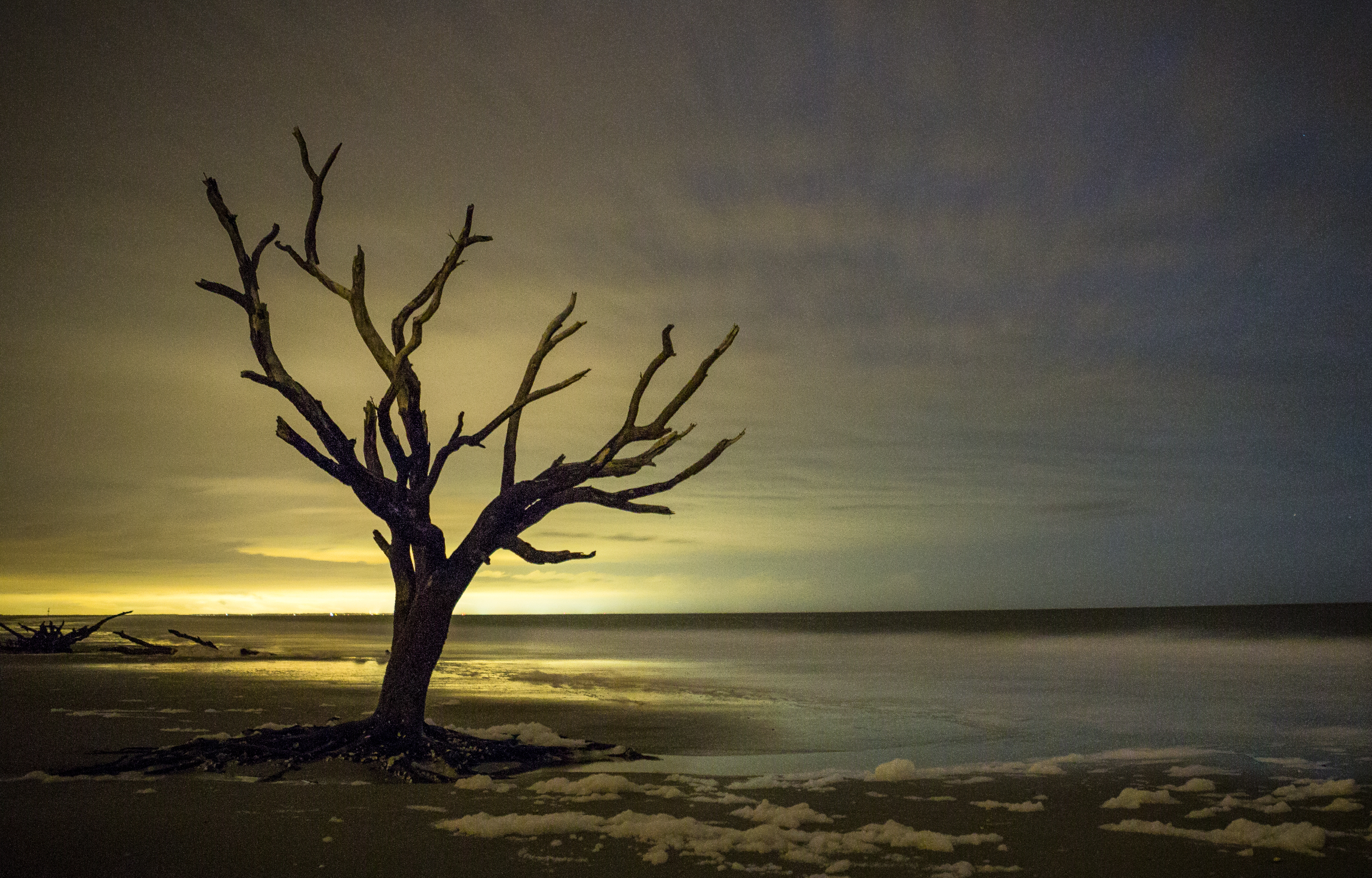 Boneyard Beach 