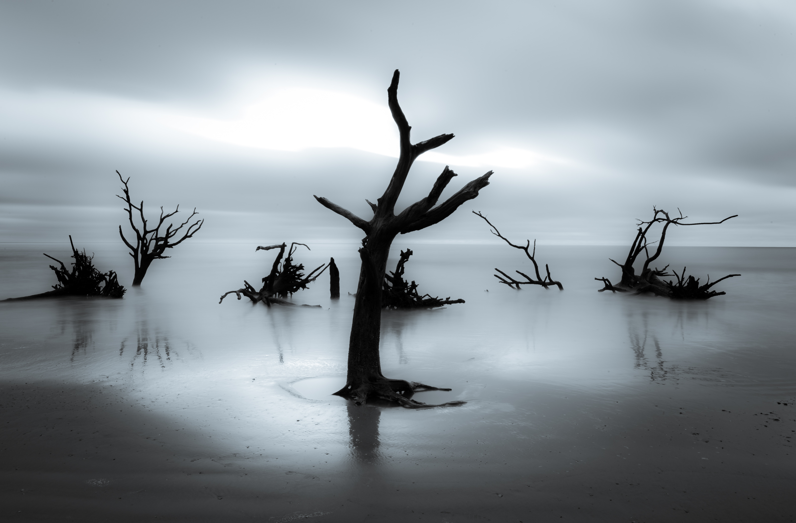 Boneyard Beach 