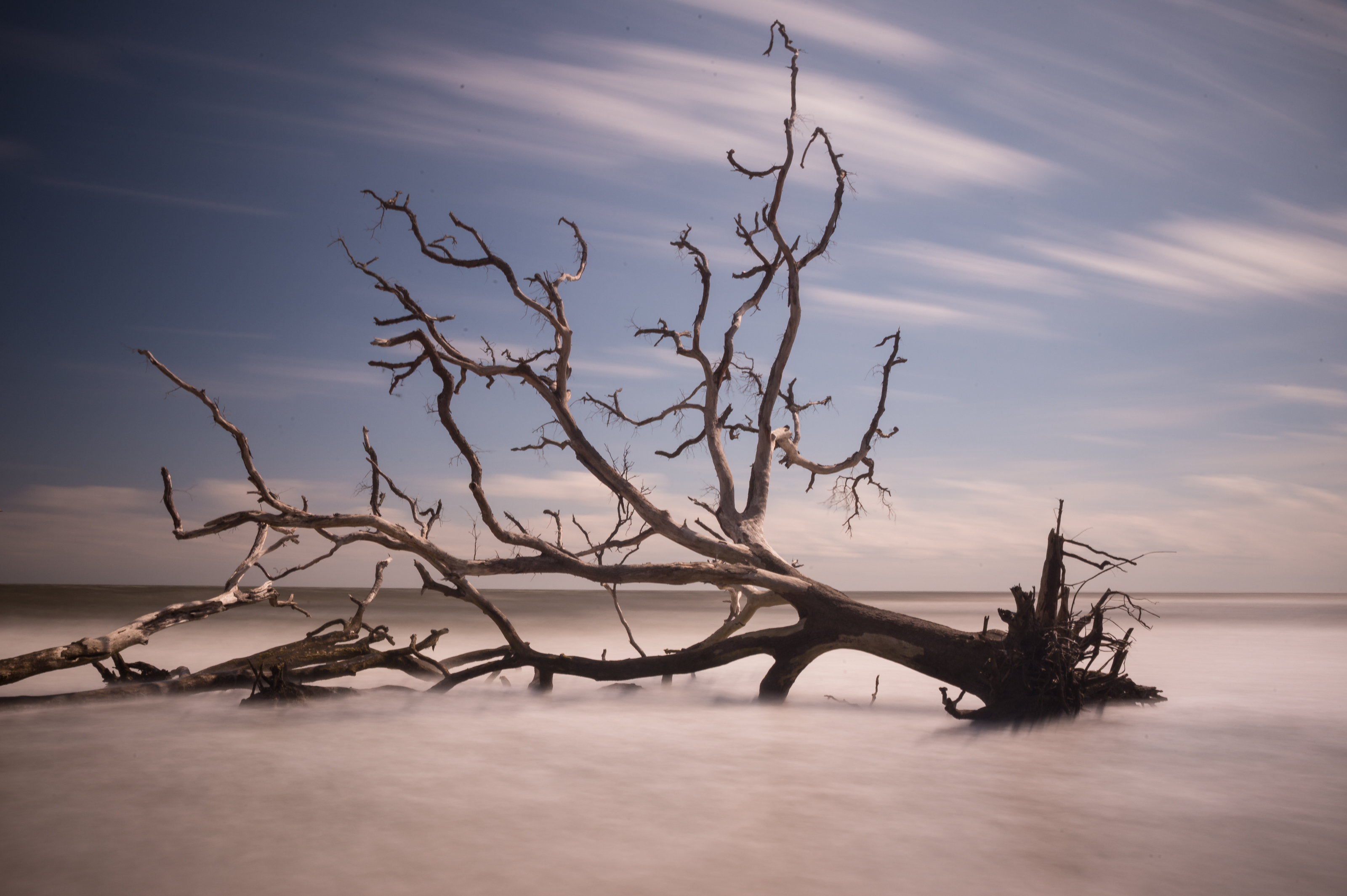 Boneyard Beach 