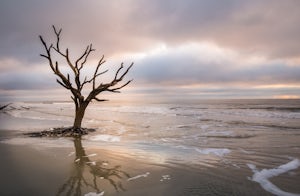 Camp at the Boneyard Beaches of Hunting Island State Park