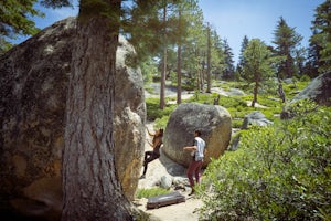 Boulder at D.L. Bliss State Park