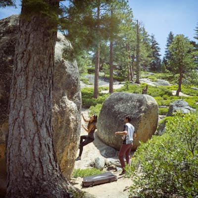 Boulder at D.L. Bliss State Park