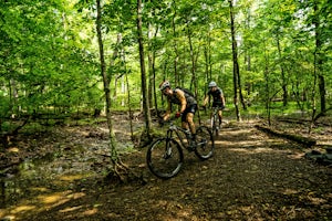 Mountain Bike at Carvins Cove