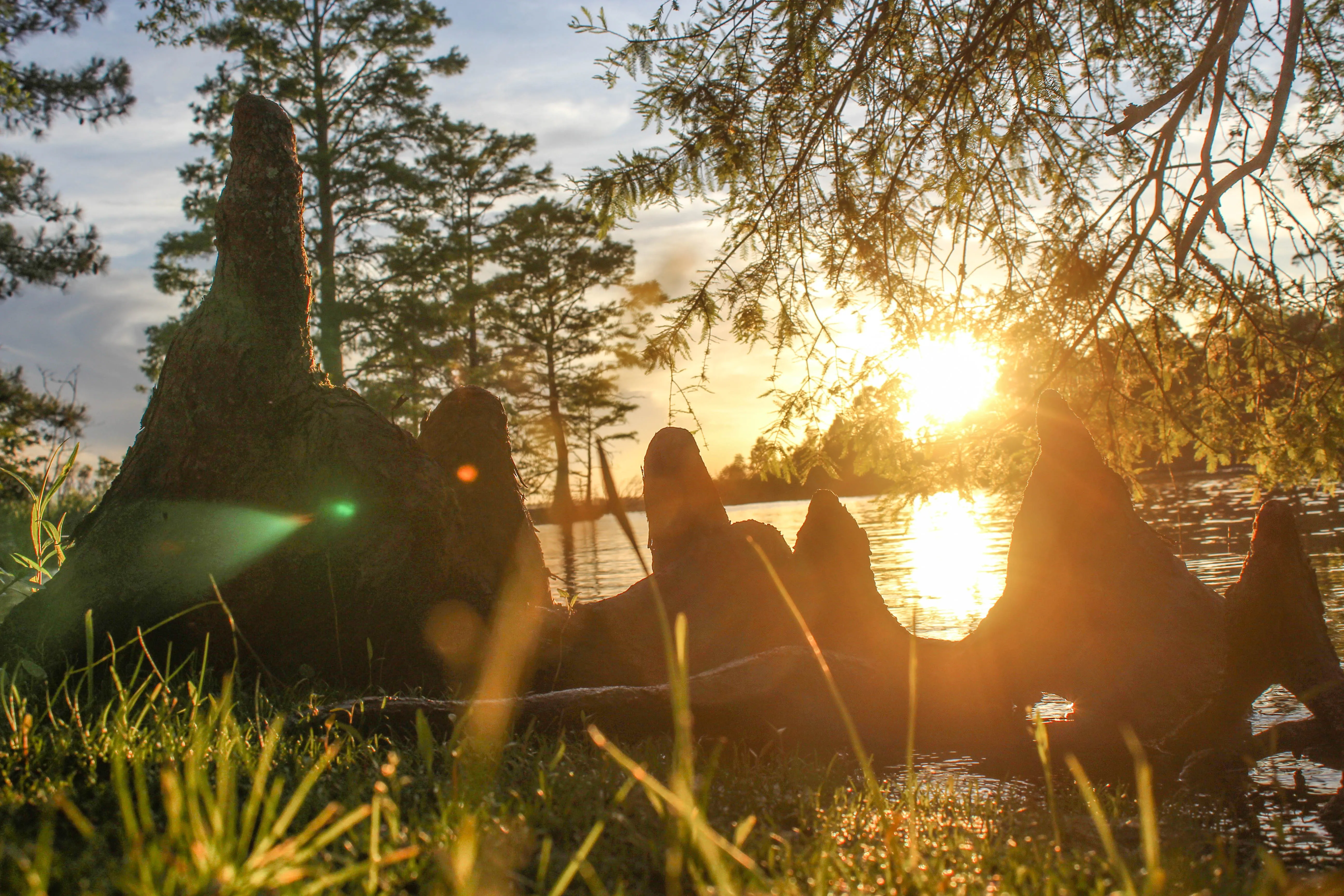 Catch A Sunset at the Munden Point Park Pier