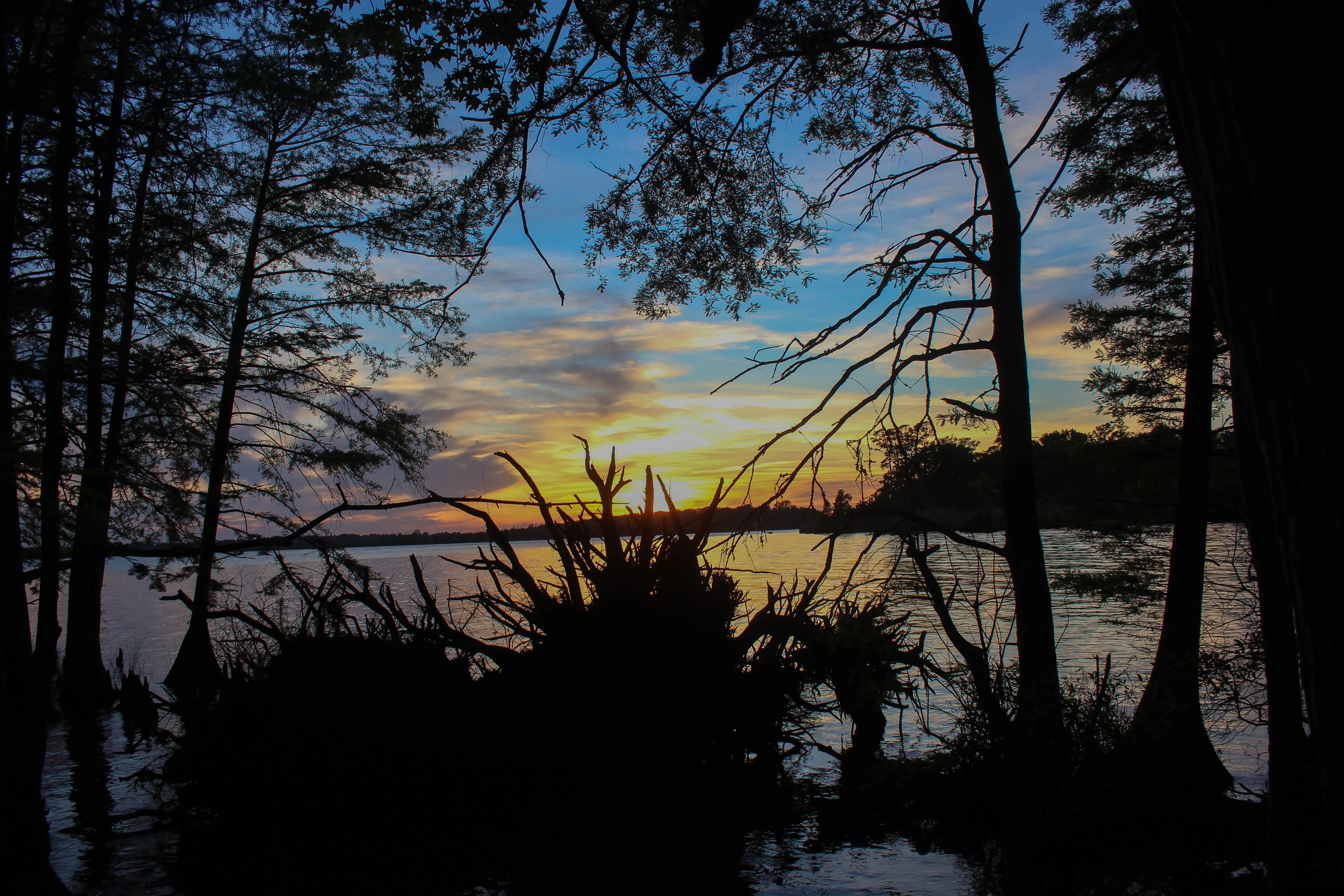 Catch A Sunset at the Munden Point Park Pier