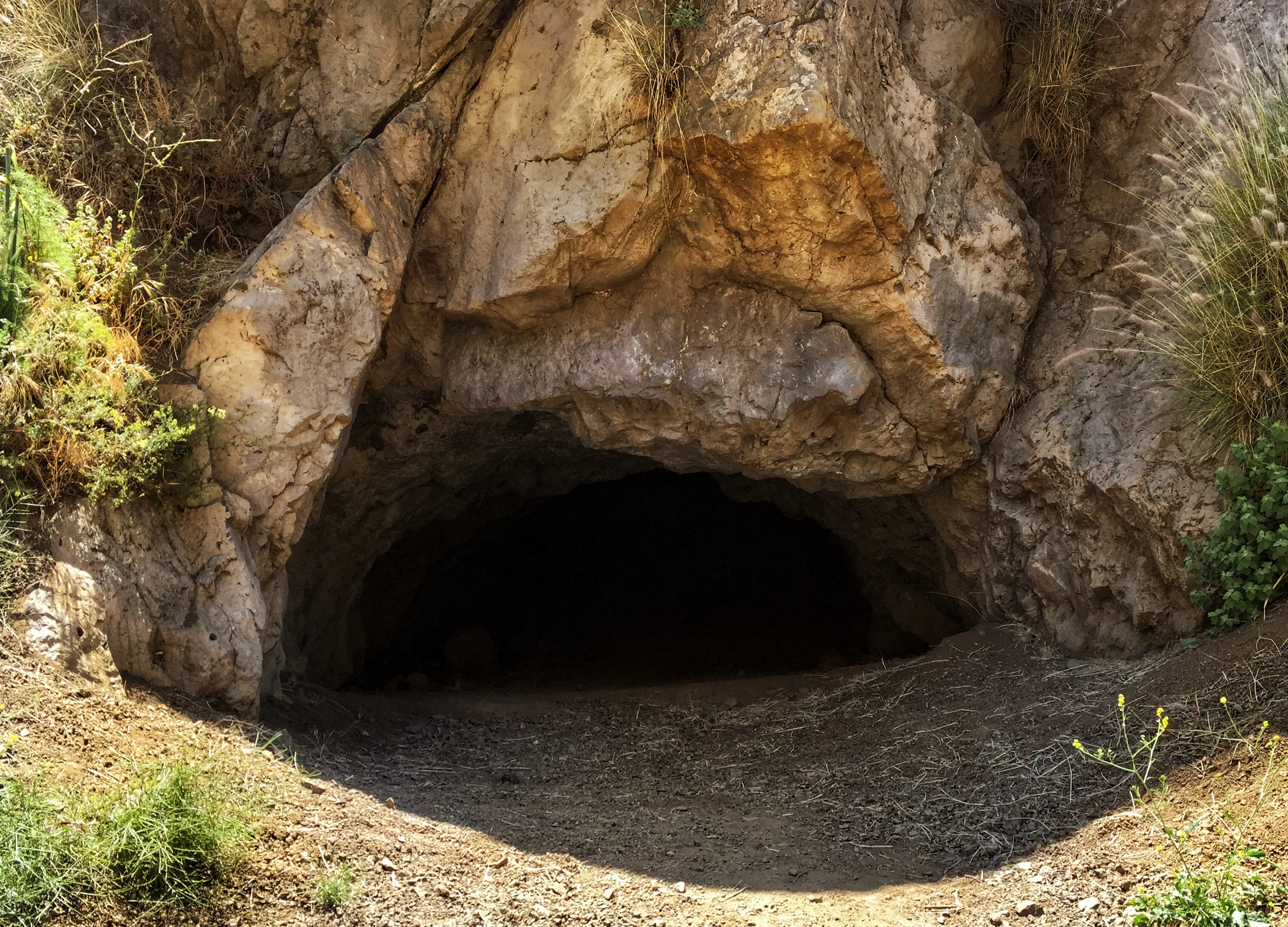 Bronson Bat Caves