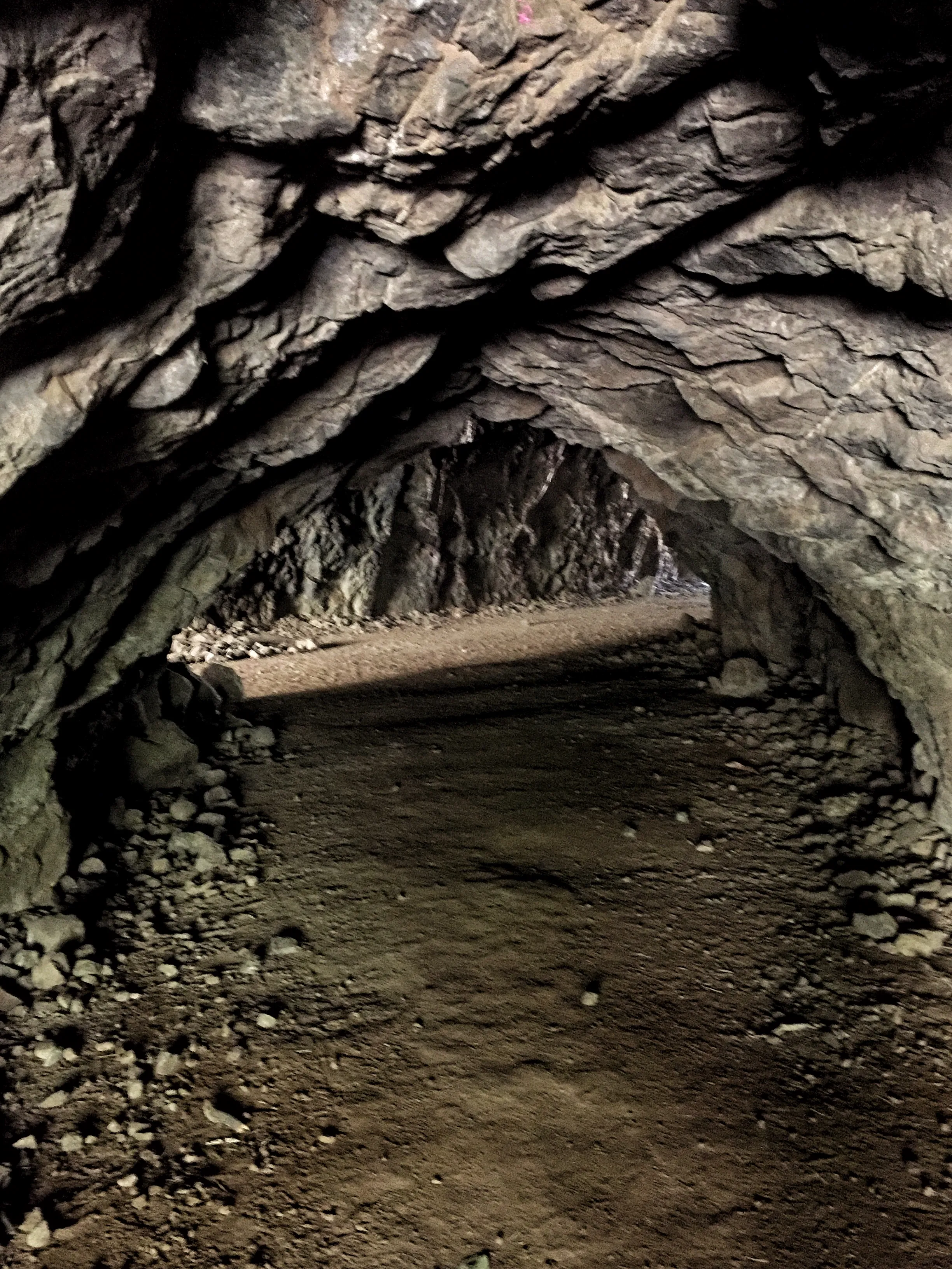 Bronson Bat Caves