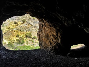 Bronson Bat Caves