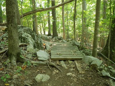 Warriors Path State Park