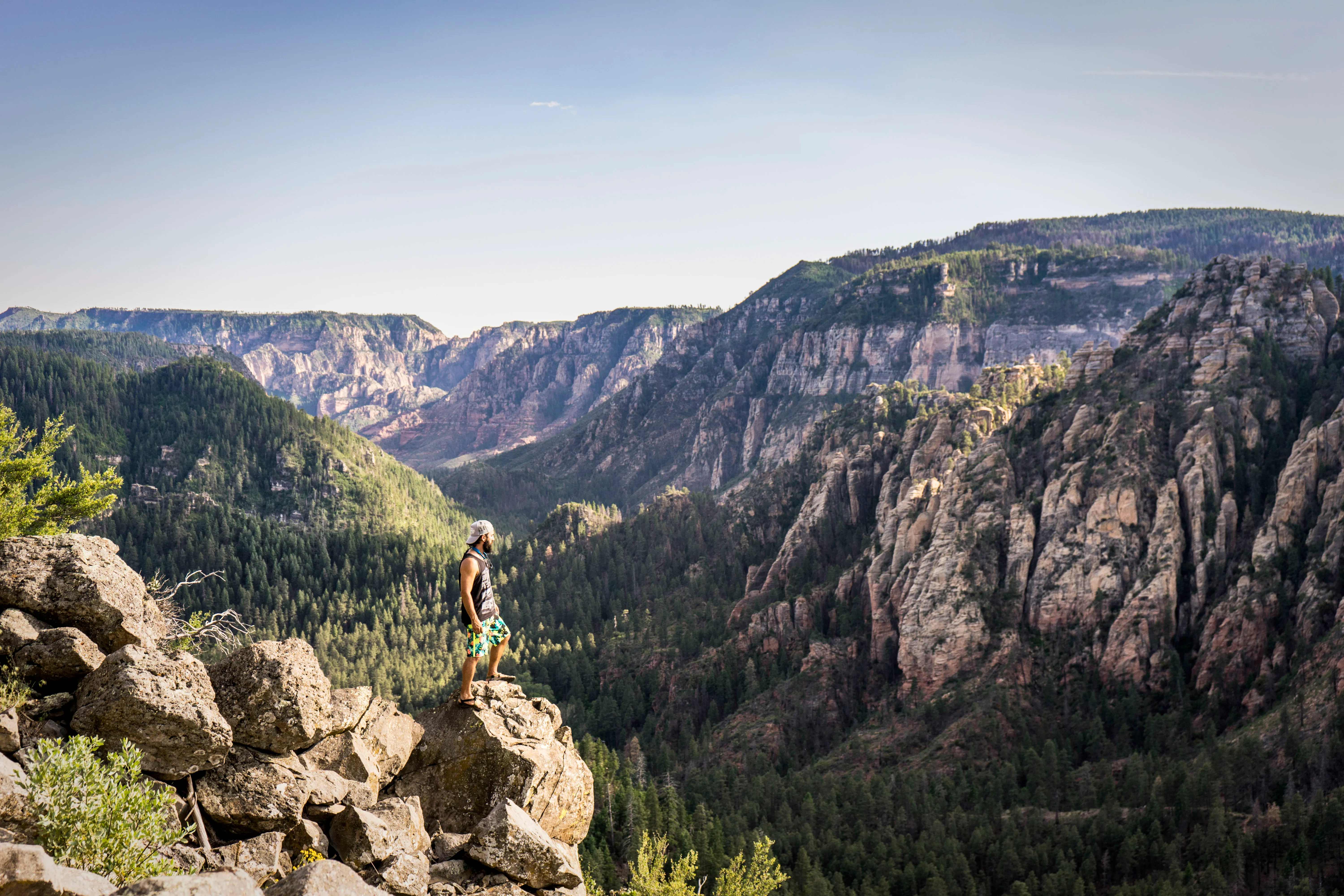 Cookstove Trail to Harding Springs Loop