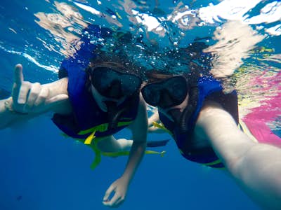 Snorkel in Waikiki