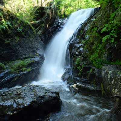 Hike to Campbell Falls