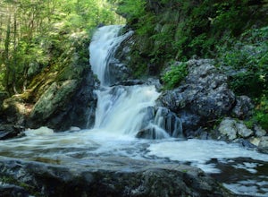 Hike to Campbell Falls