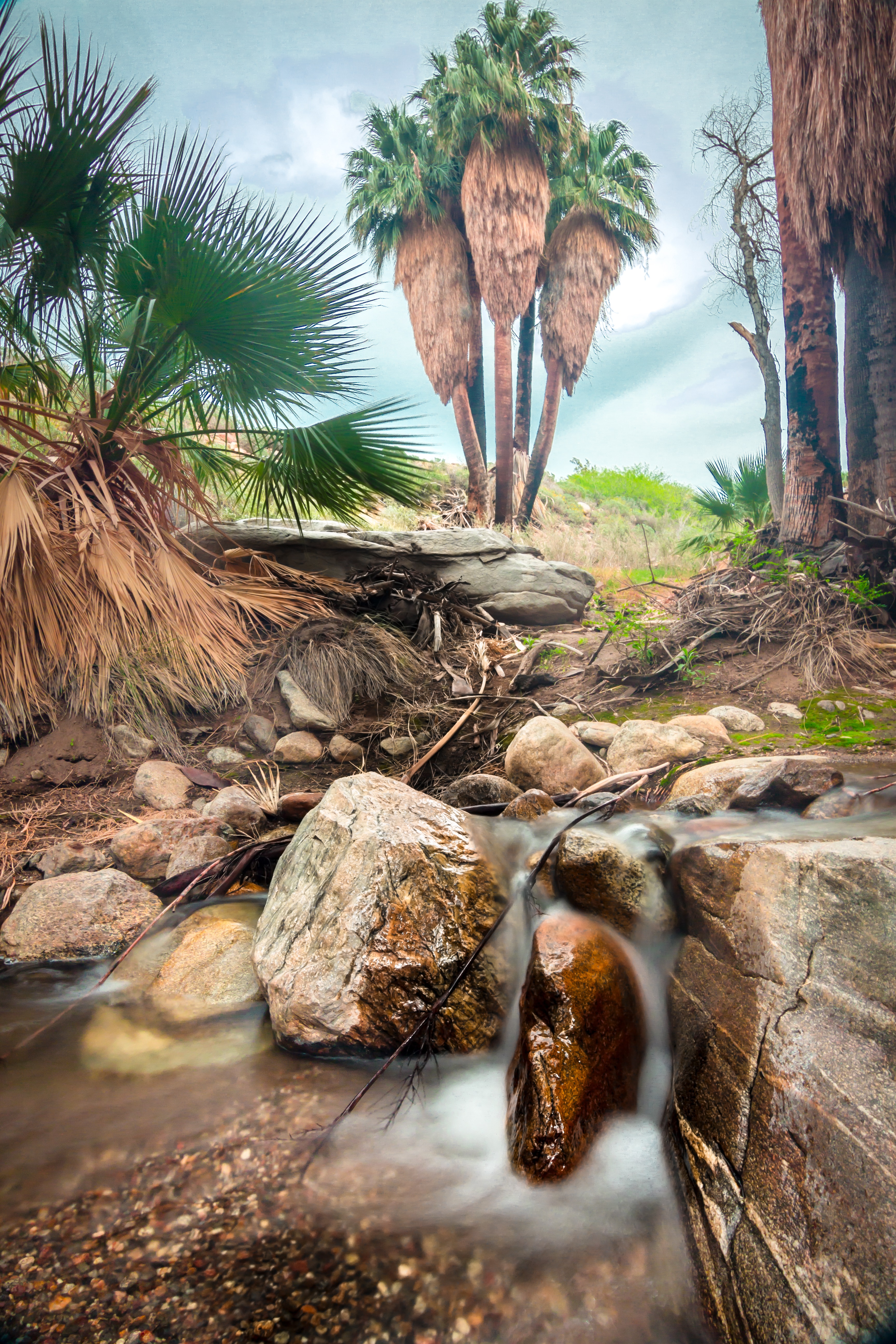 Seven Falls via Murray Canyon Trail