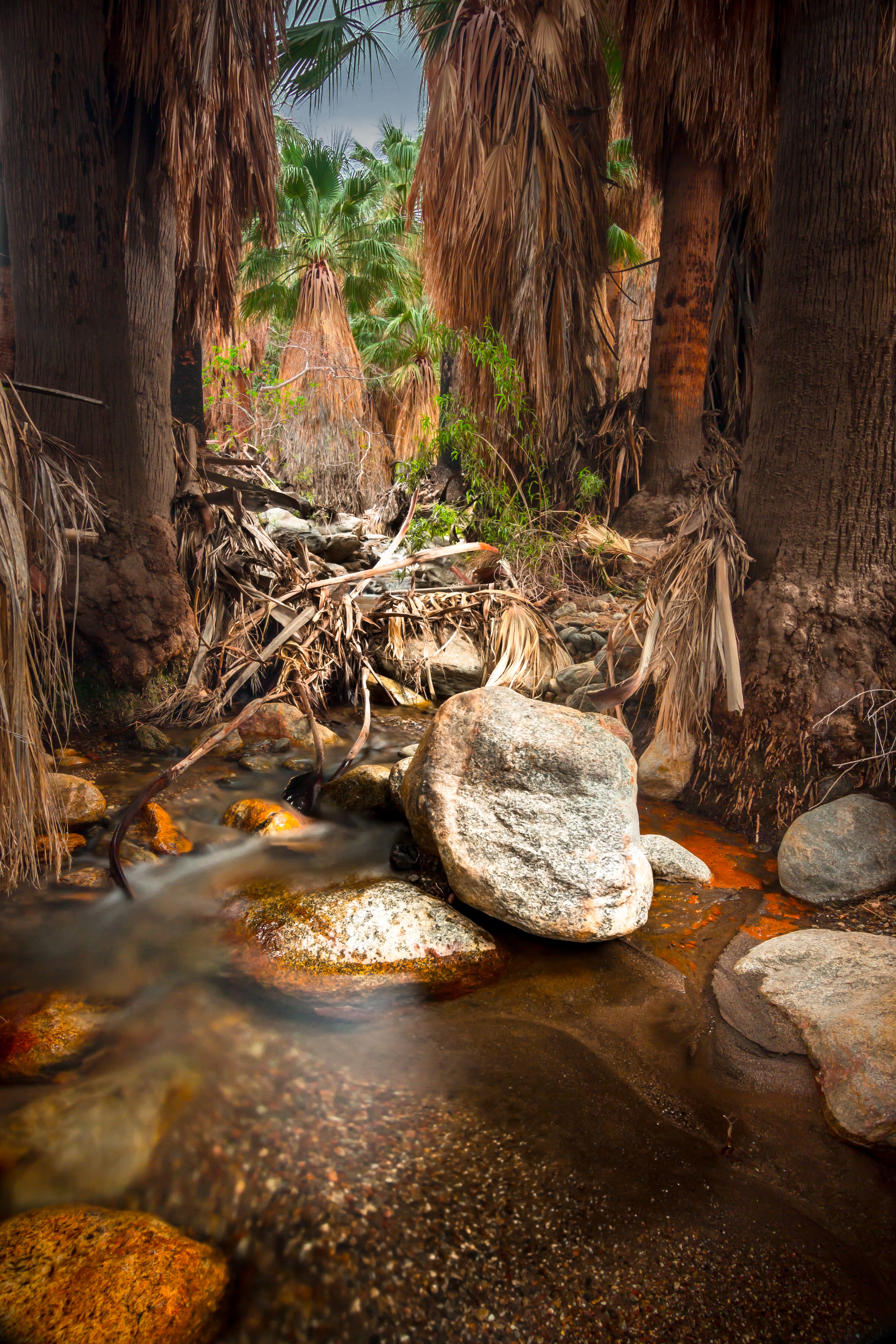 Seven Falls via Murray Canyon Trail