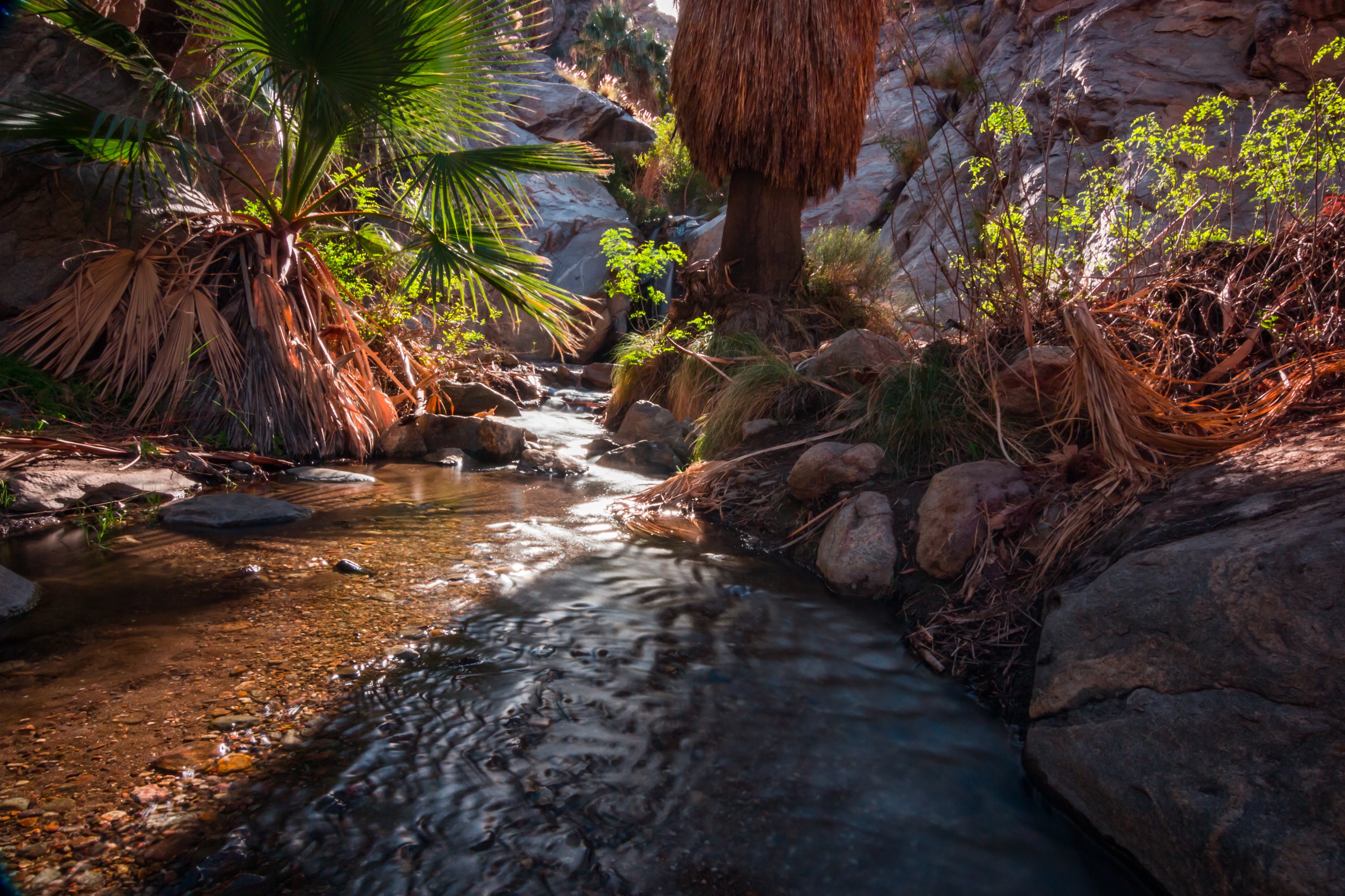 Seven Falls via Murray Canyon Trail