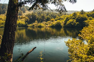 Go on a Camping, Lake-Jumping, Full-Moon-Hiking, Adventure in Marin