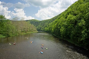 Kayak or Canoe Pine Creek: Blackwell to Black Walnut Bottom